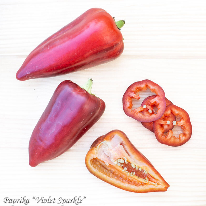 Paprika Violet Sparkle, Сладкий перец Фиолетовый блеск